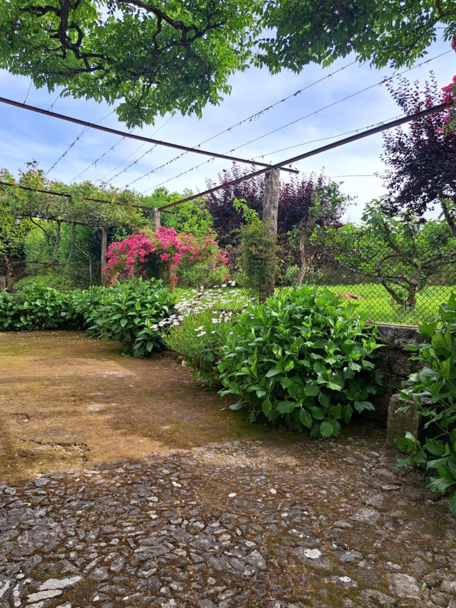 Quinta Do Vale Do Monte Guest House Viana do Castelo Exterior foto